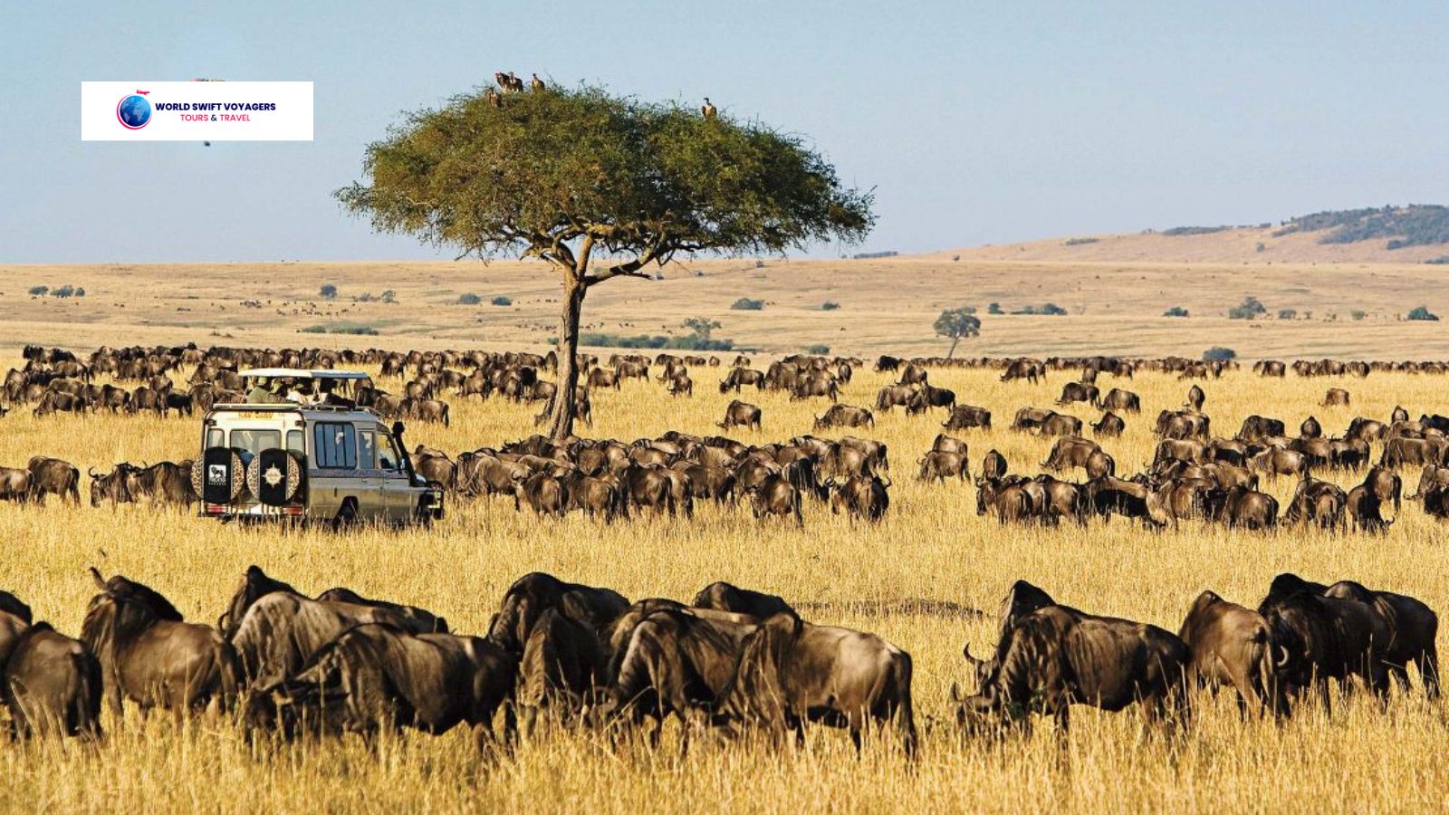 Maasai Mara National Reserve