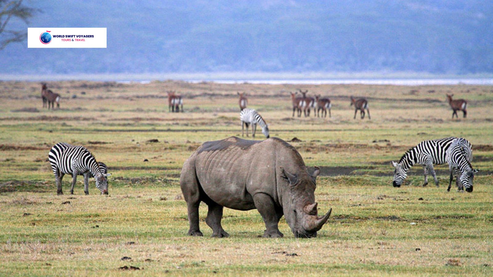 Ngorongoro Conservation Area